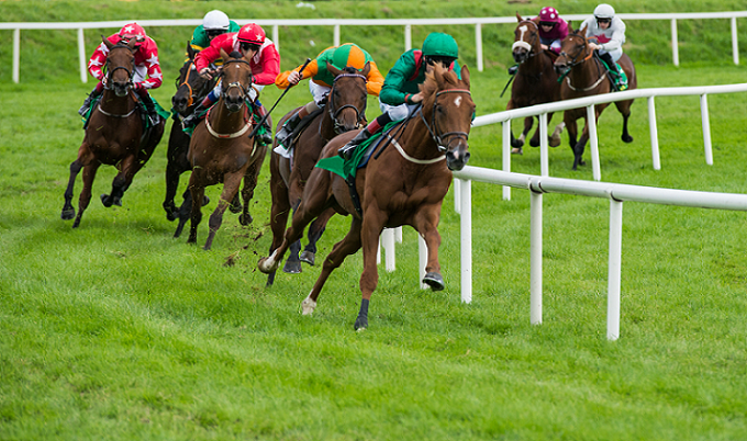 What is Winning Tips of Horse Racing?