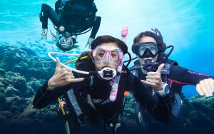 Freediving Tours