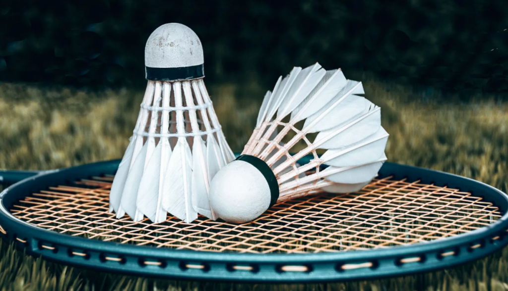 Badminton Sets: A fun to play with!