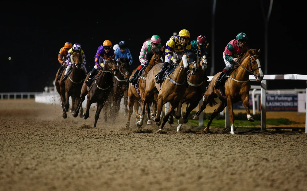 best horse racing tips for Sydney